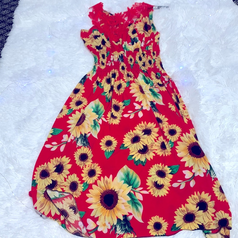 Beautiful dress brand new